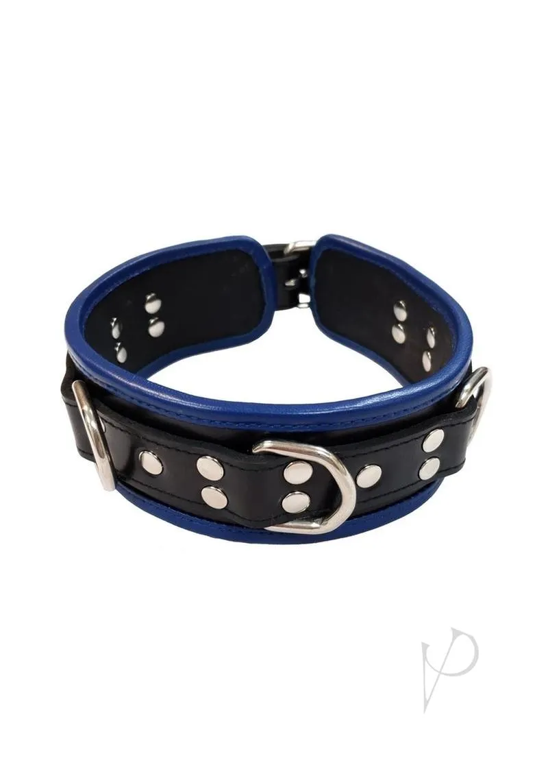 5 D Ring Collar Black/blue