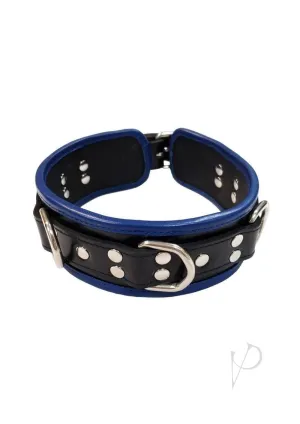 5 D Ring Collar Black/blue
