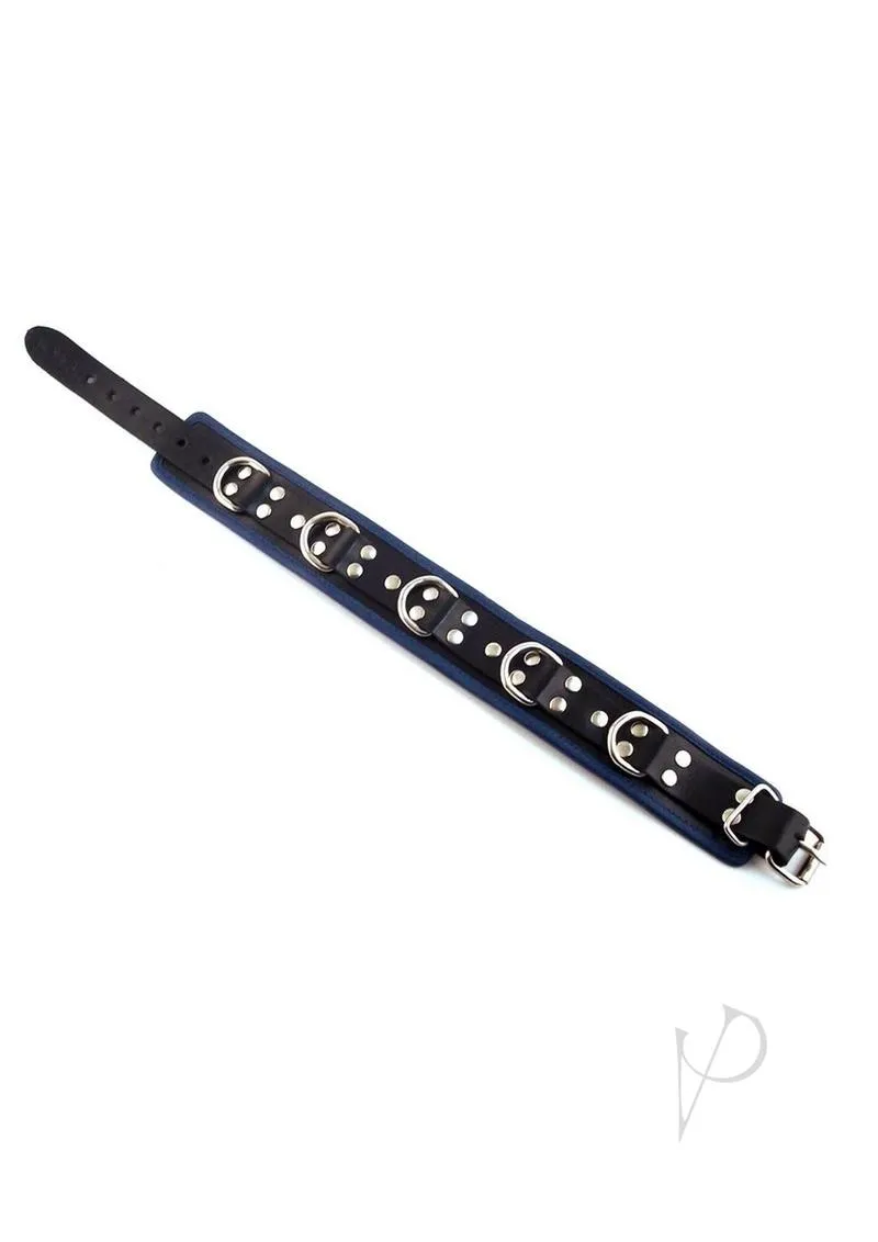 5 D Ring Collar Black/blue