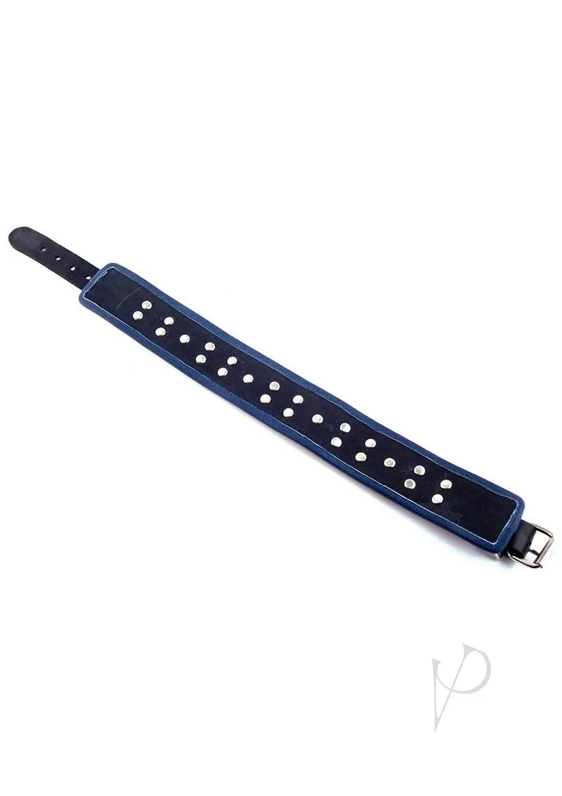 5 D Ring Collar Black/blue