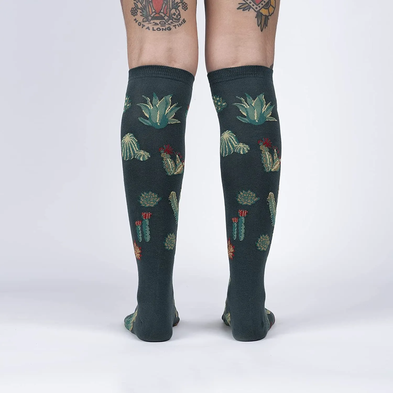 Cactus Jungle
