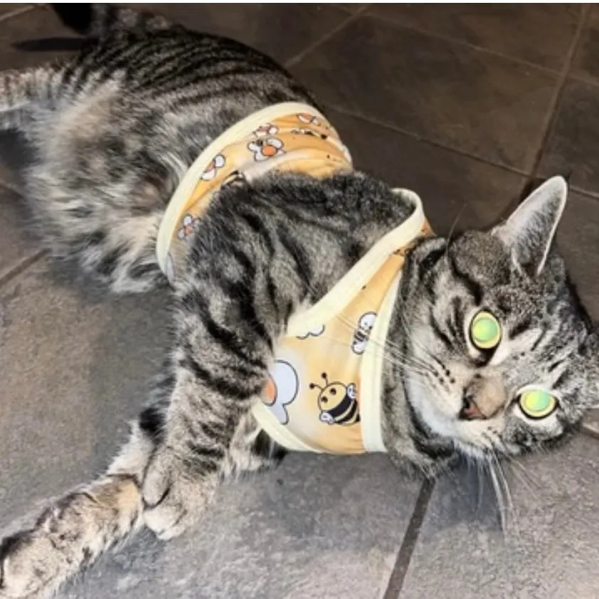 Kawaii Bats Pet Dog Cat T-Shirts