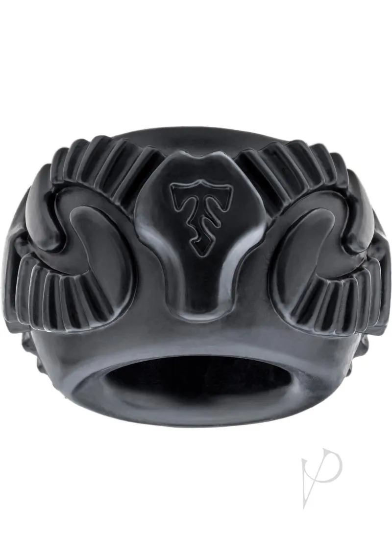 Ram Ring Kit Double